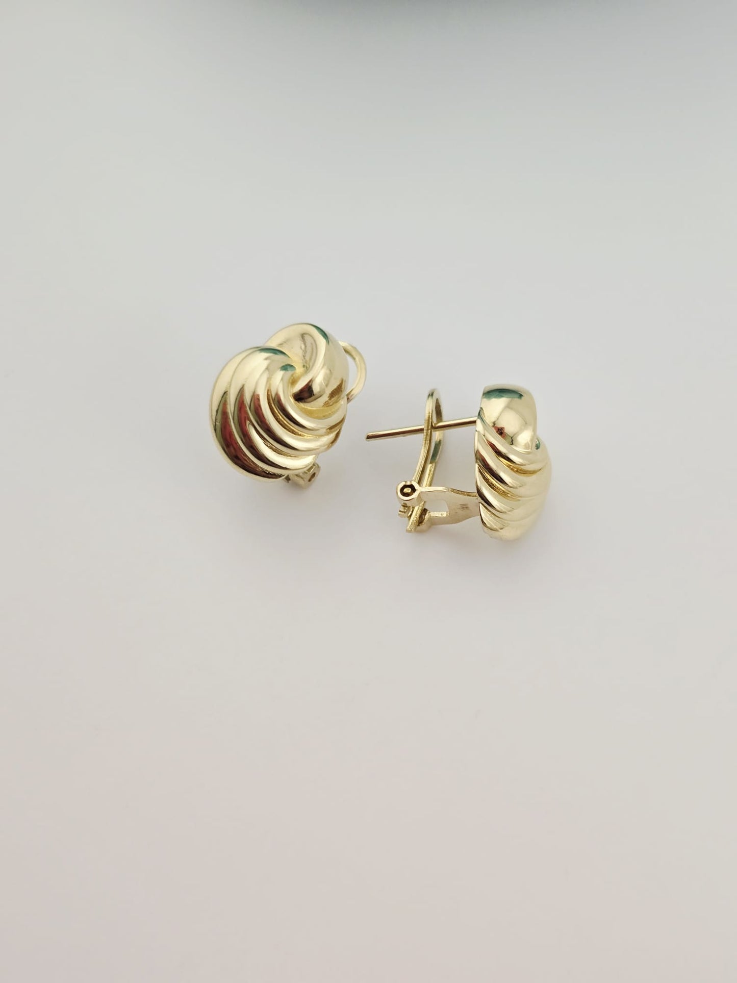Earrings 10k
