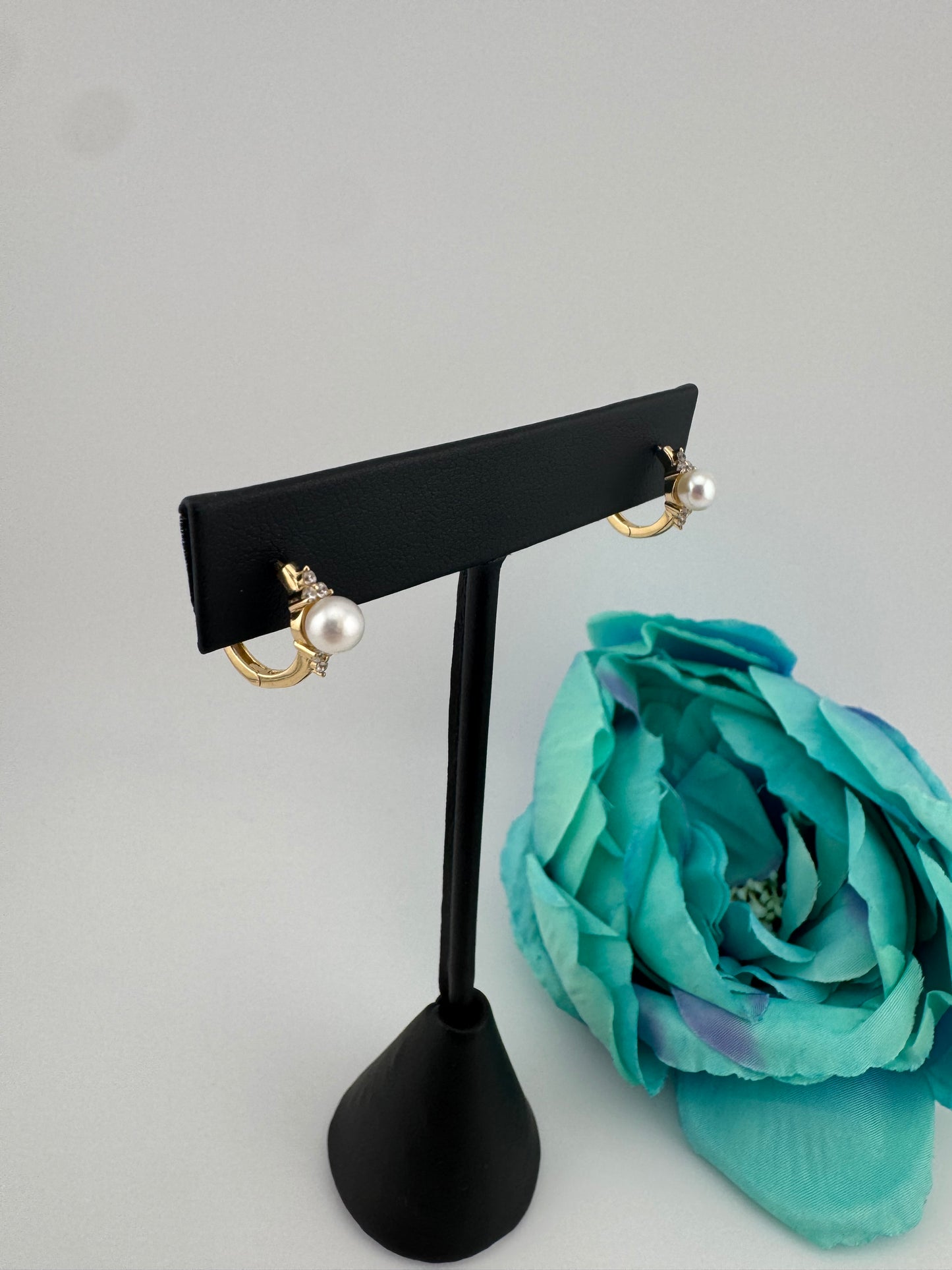 Earrings 14kt, e54
