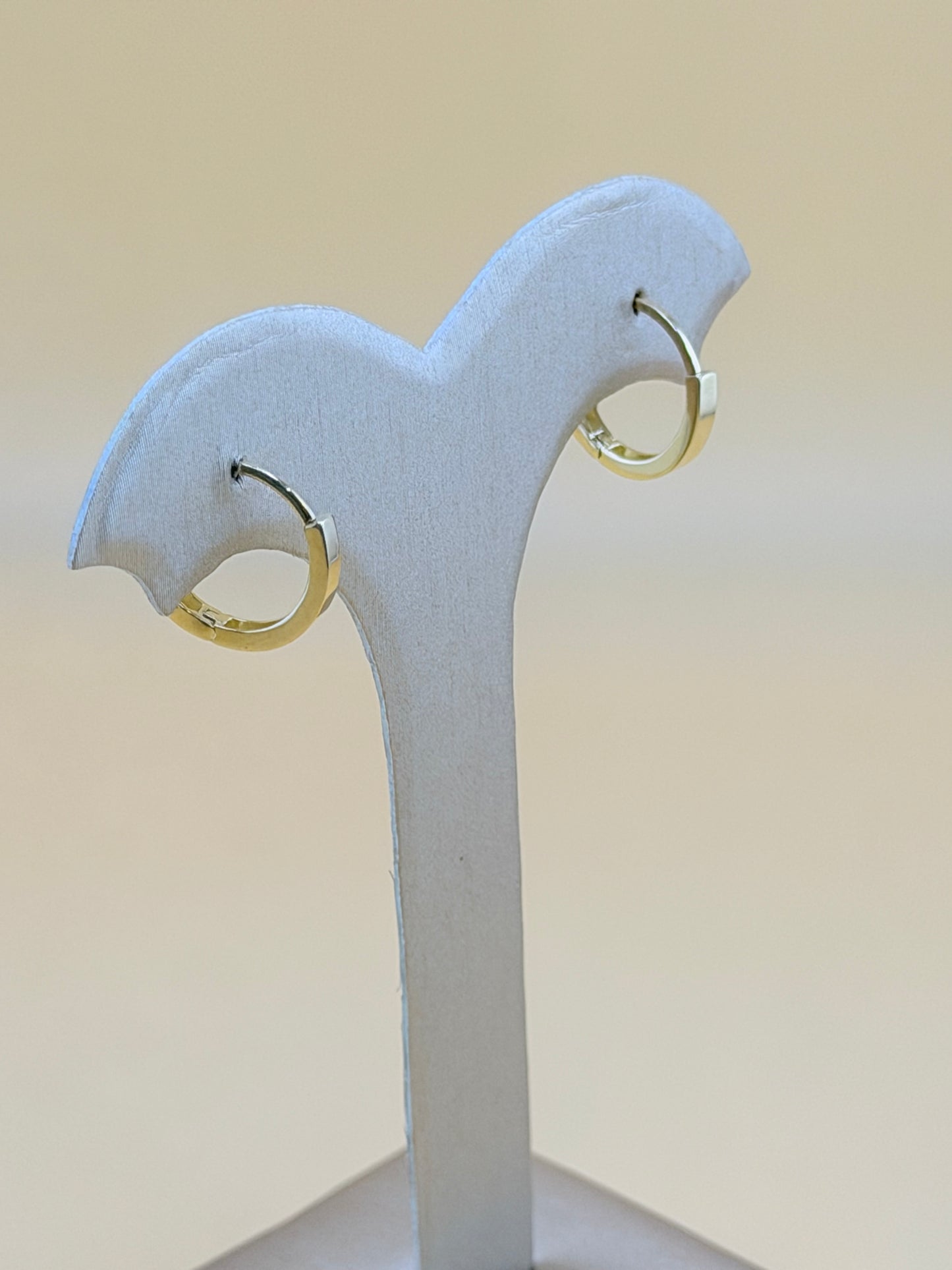 10kt Gold Earrings.