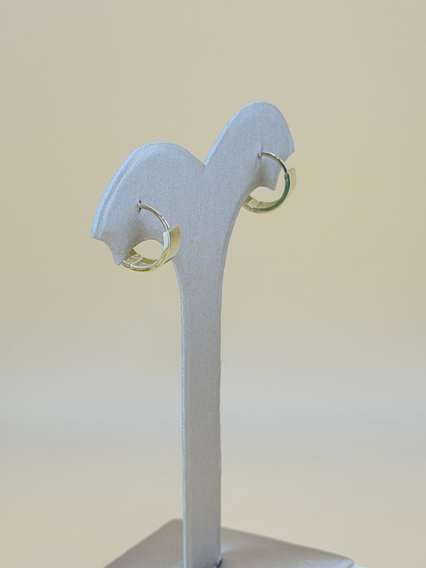 10kt solid Gold Earrings.
