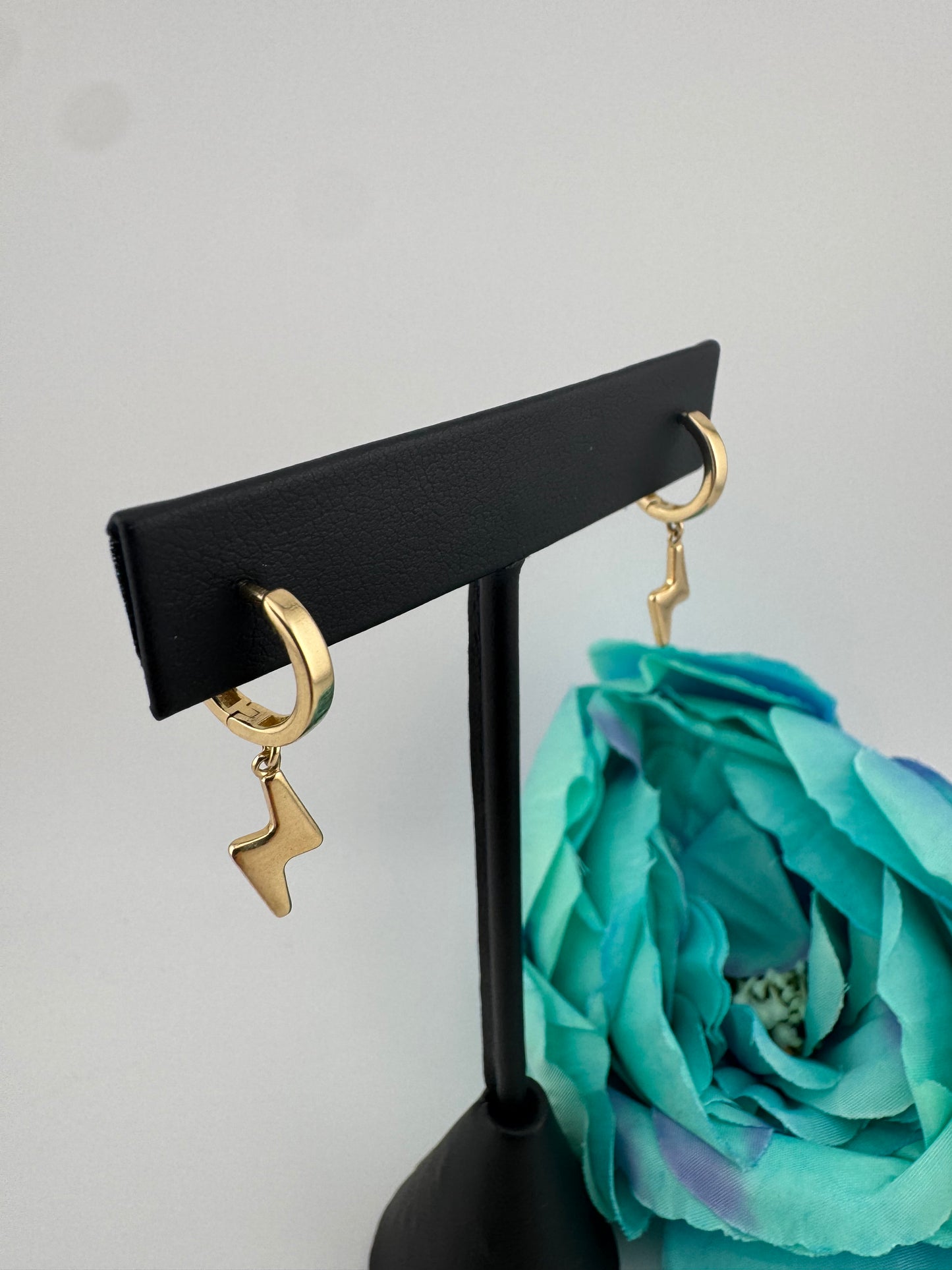 Earrings 14kt, e55