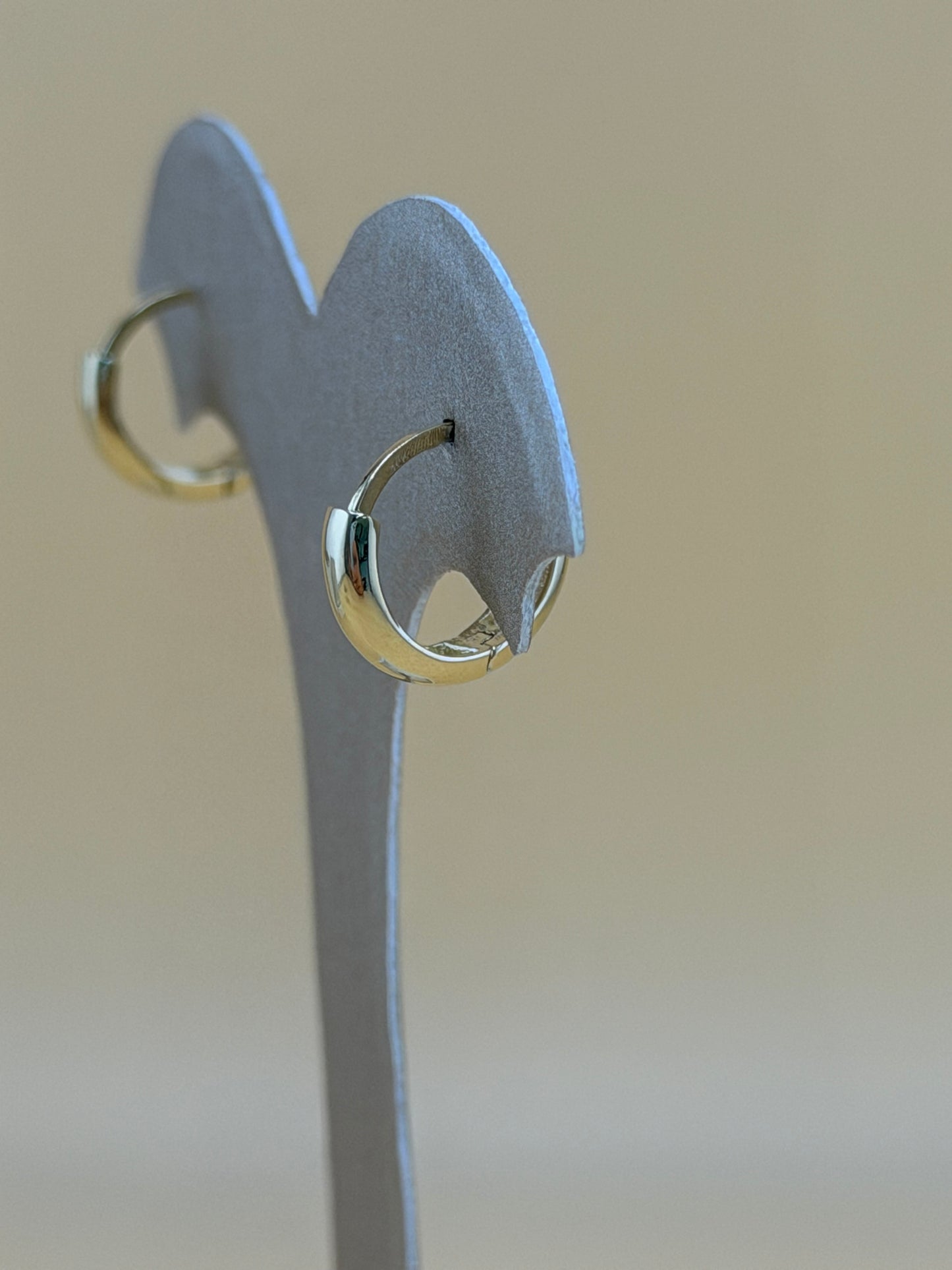 10kt Gold Earrings.