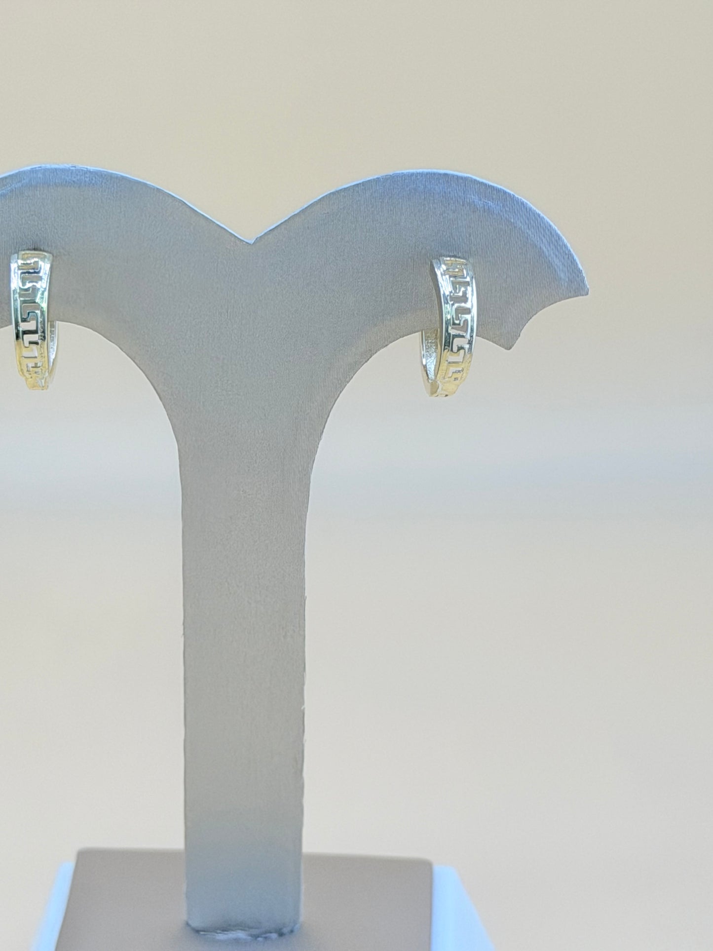 10kt Gold Earrings.