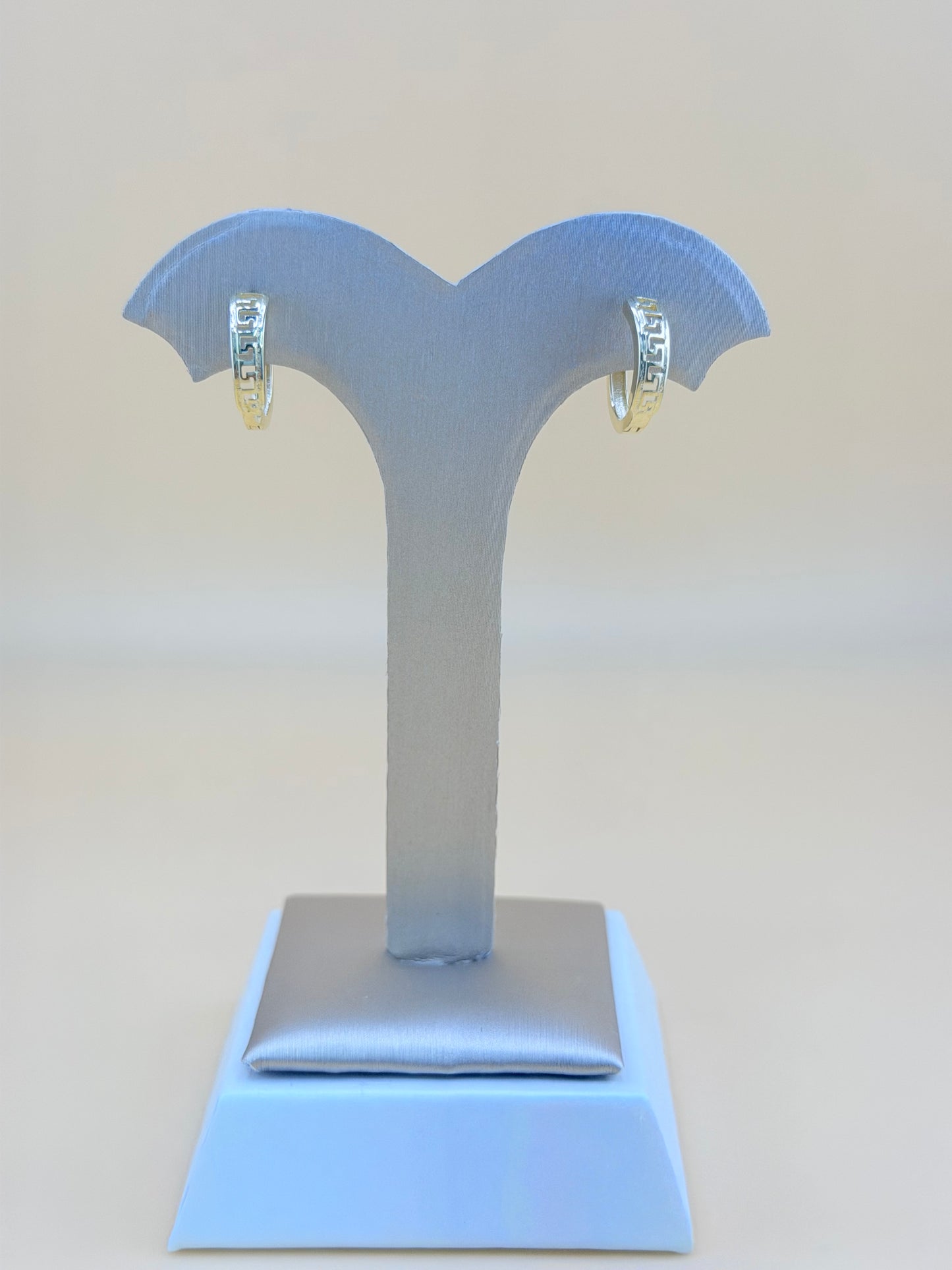 10kt Gold Earrings.