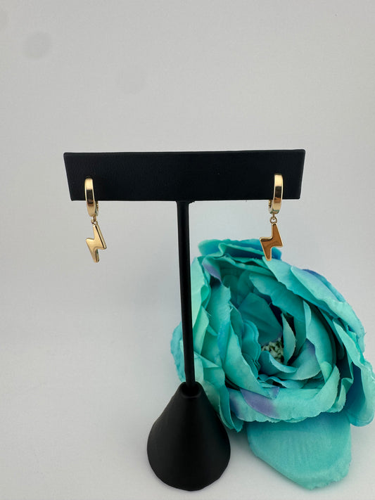 Earrings 14kt, e55