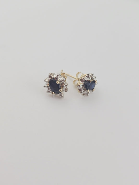 Earrings 10k