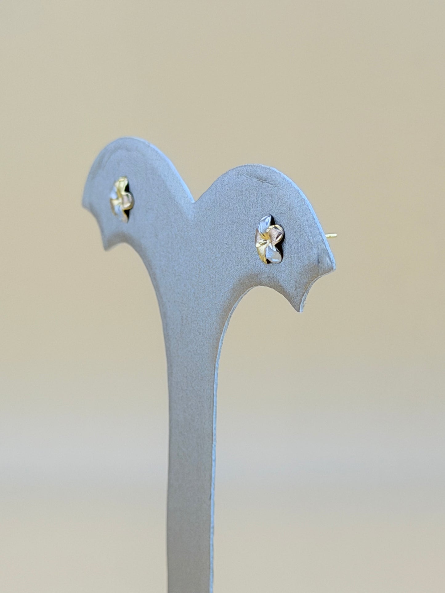 10kt Small Gold Earrings.