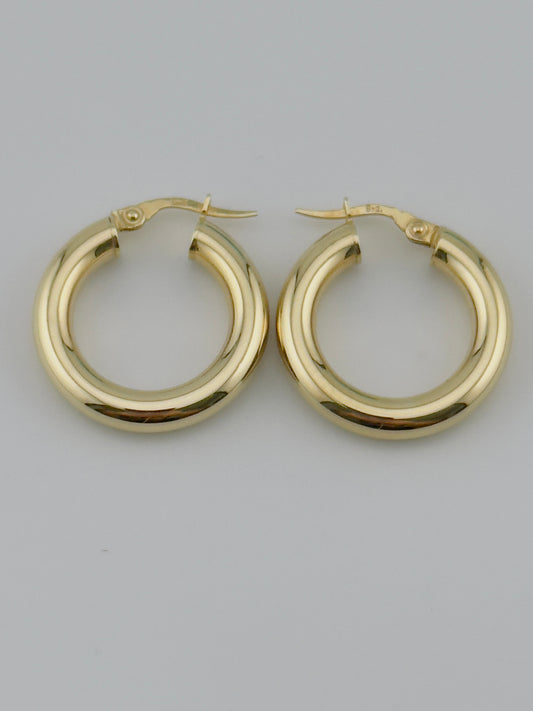 Hoops 14kt, e68