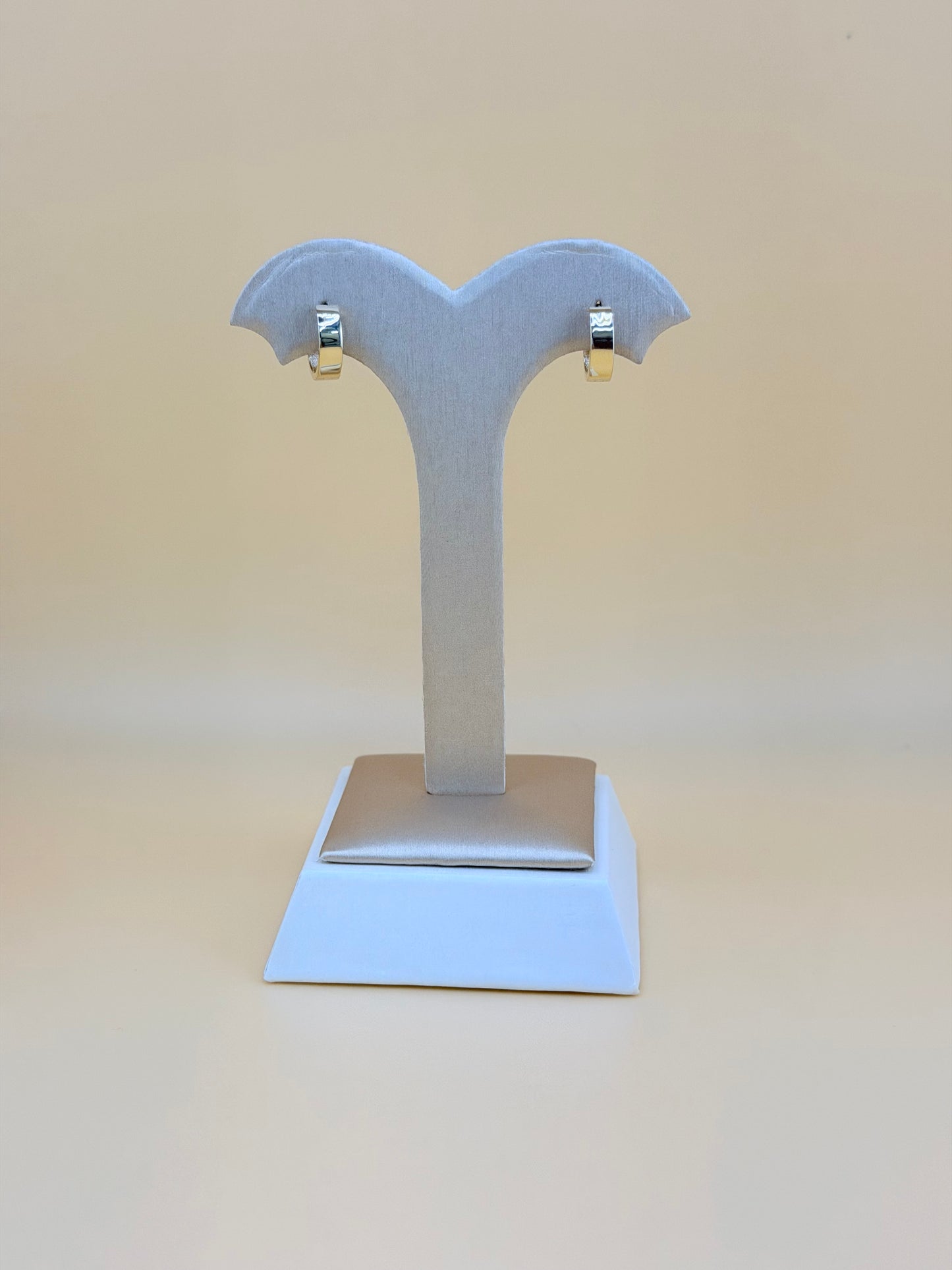 10kt Solid Earrings.