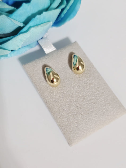 Earrings 14k