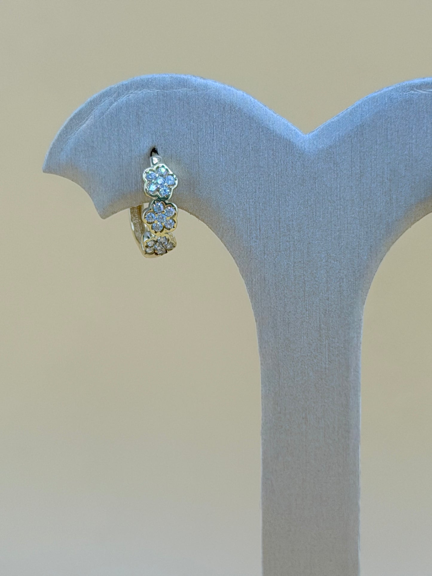 10kt Gold Earrings