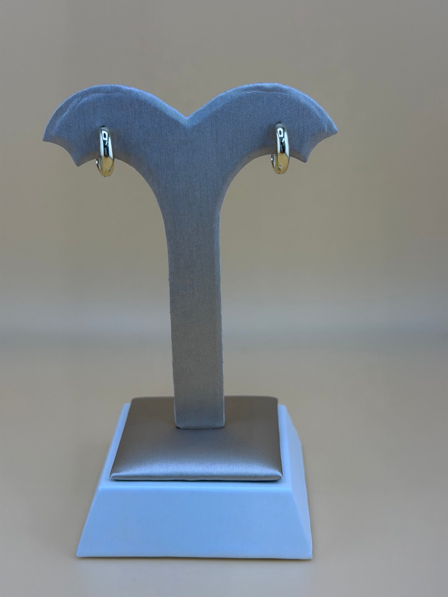 10kt Gold Earrings.
