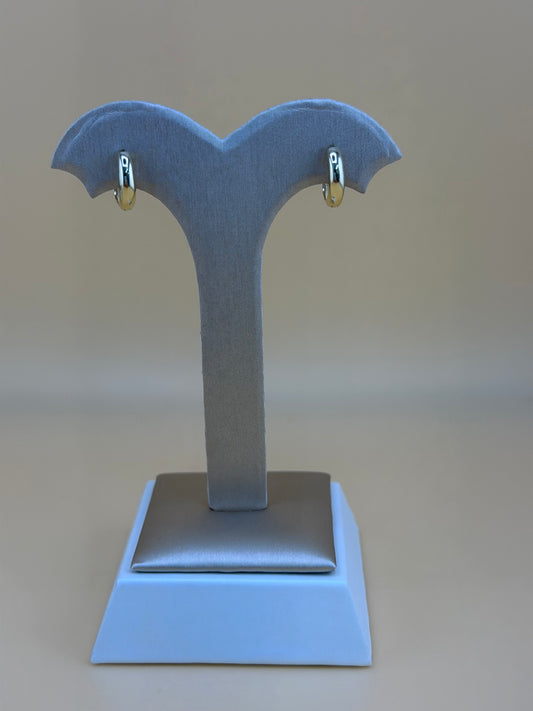 10kt Gold Earrings.