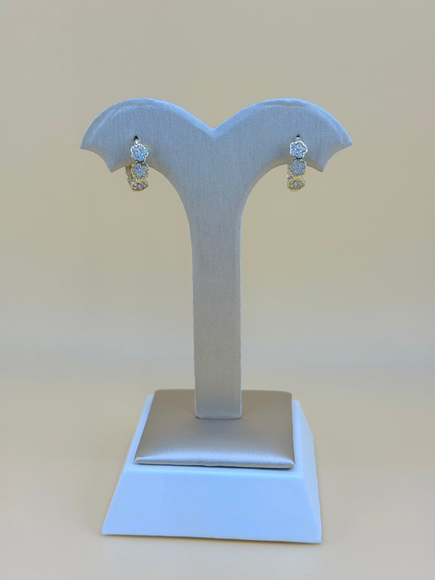10kt Gold Earrings