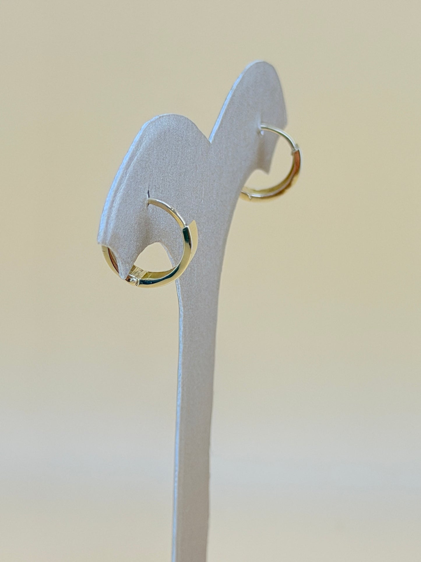 10kt Solid Earrings.