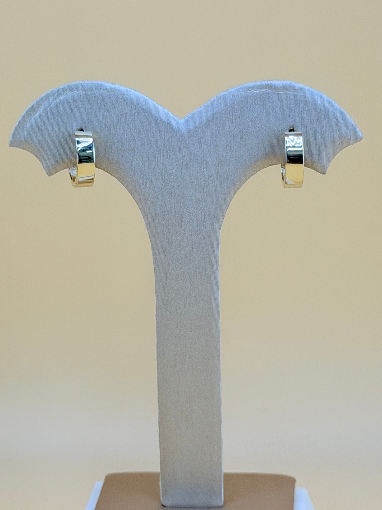 10kt Solid Earrings.