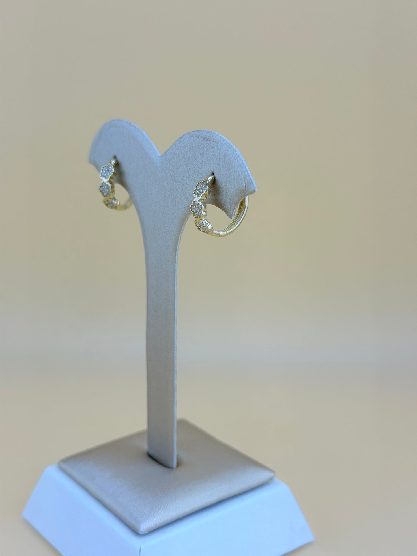 10kt Gold Earrings
