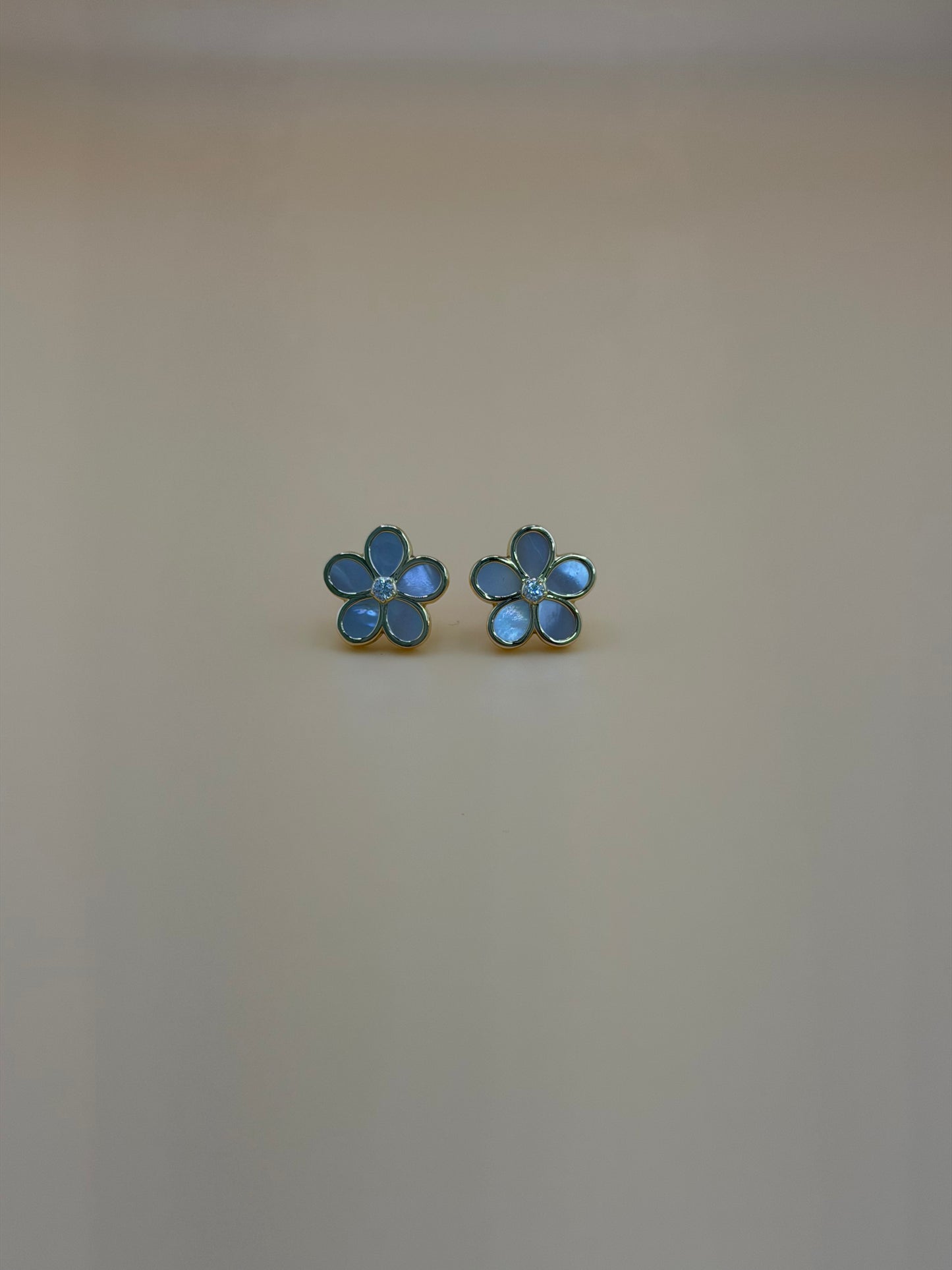 10kt Gold Earrings
