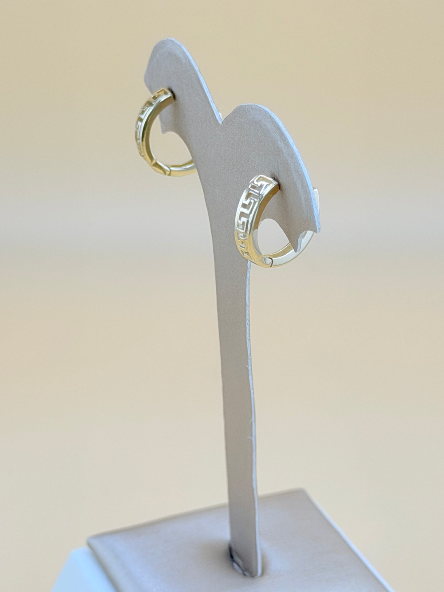 10kt Gold Earrings.
