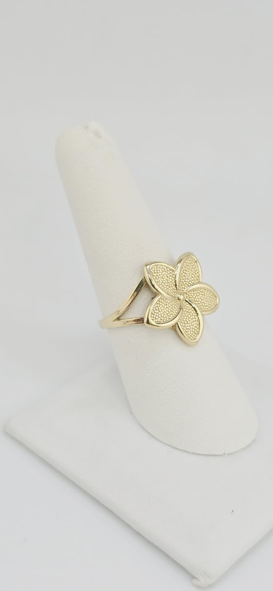 Ring 10k