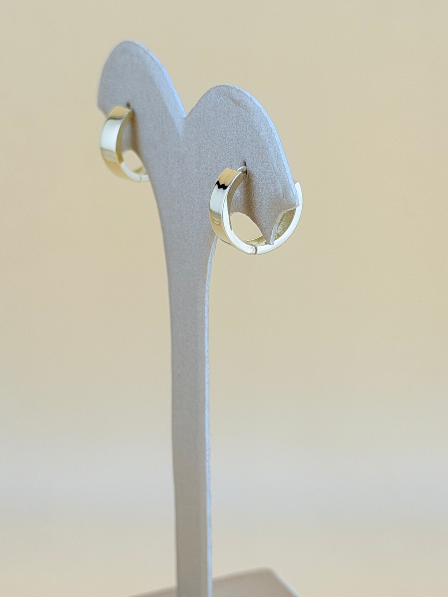 10kt Solid Earrings.