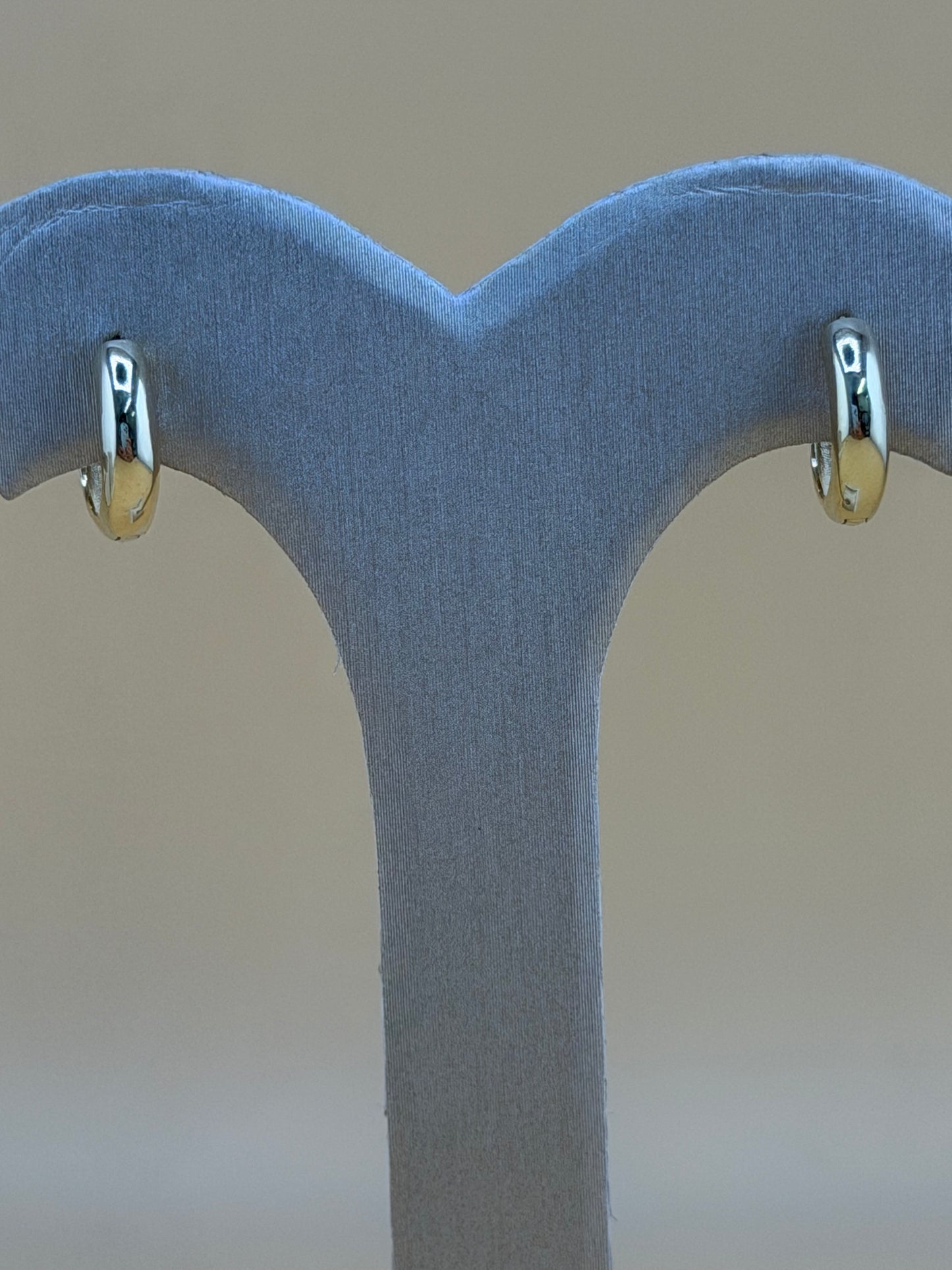 10kt Gold Earrings.