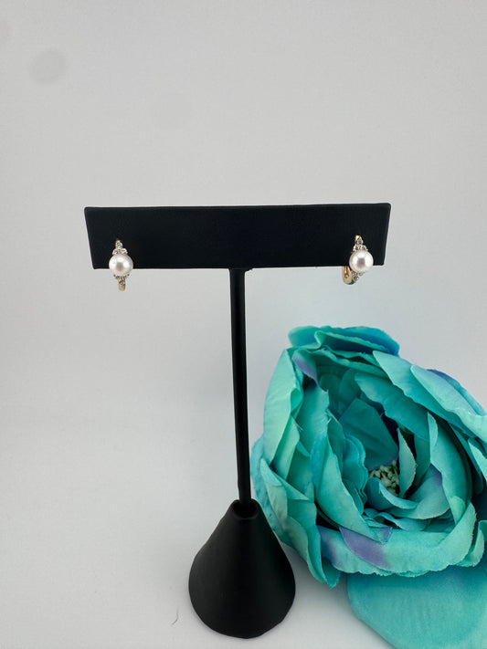 Earrings 14kt, e54