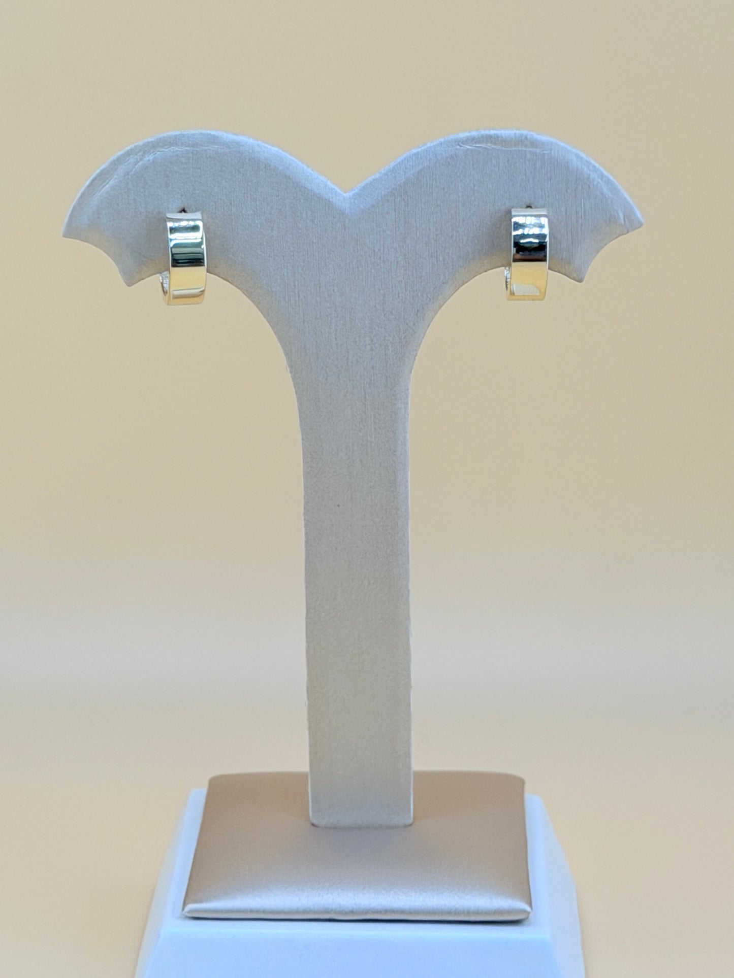 10kt solid Gold Earrings.