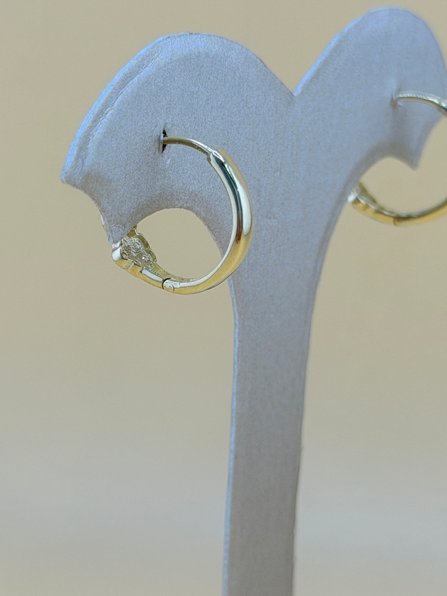 10kt Gold Earrings