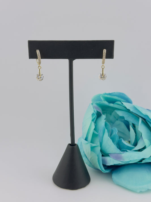 Earrings 14kt. e52