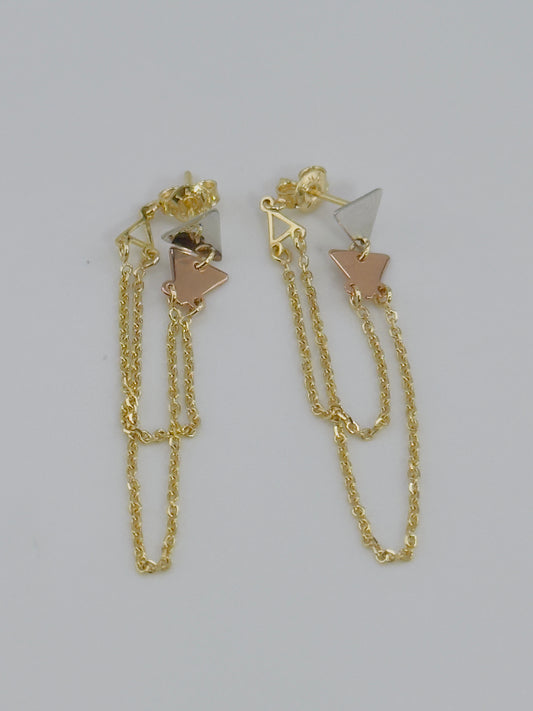 Earrings 14kt e21