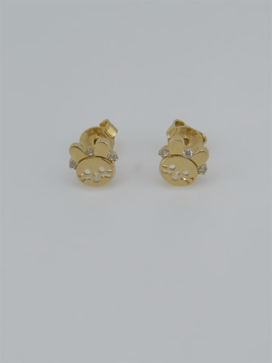 Earrings 14kt e20